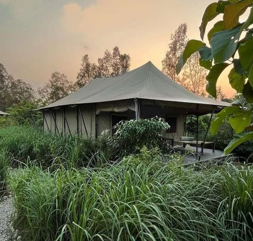 Two Conical Tent Side View